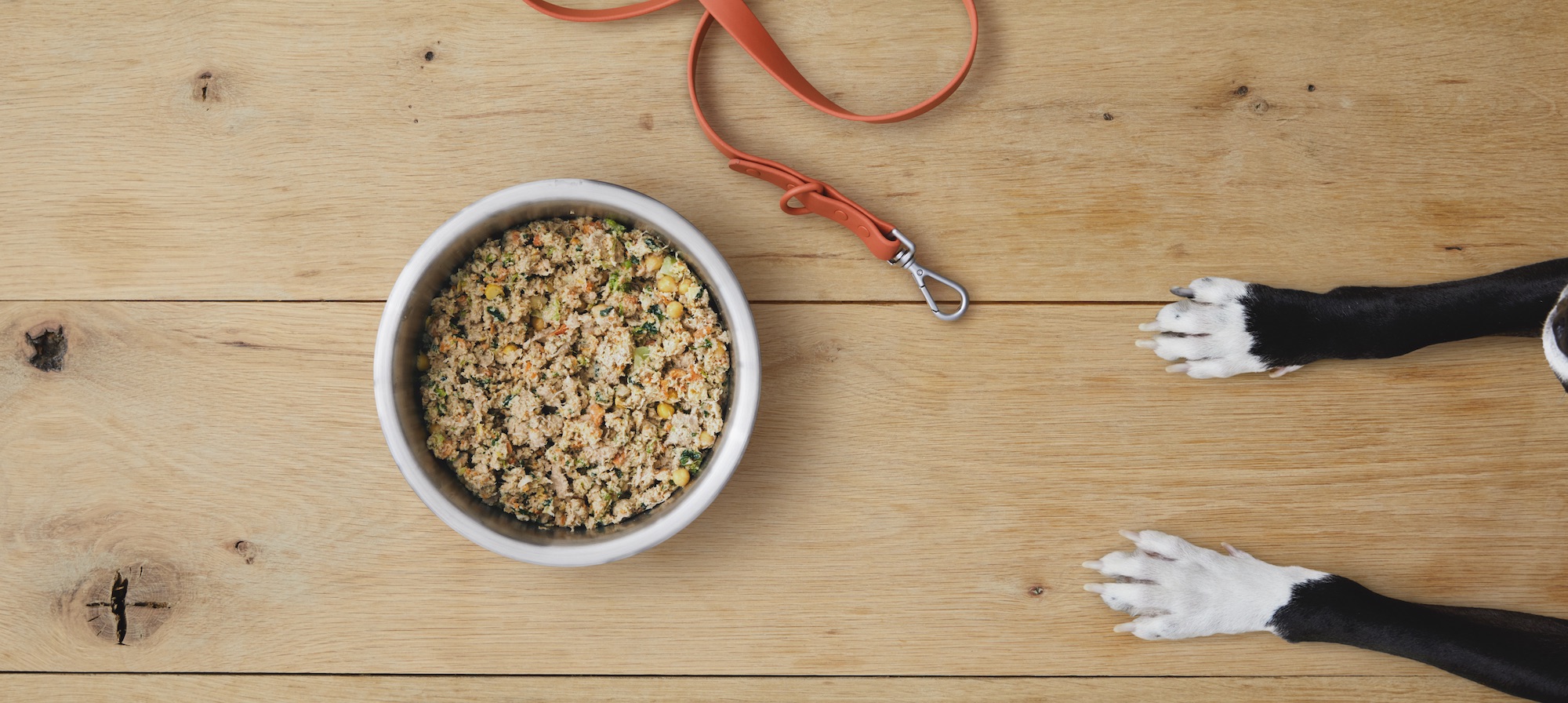 What Is Fresh Pet Food and Is It Actually Better?