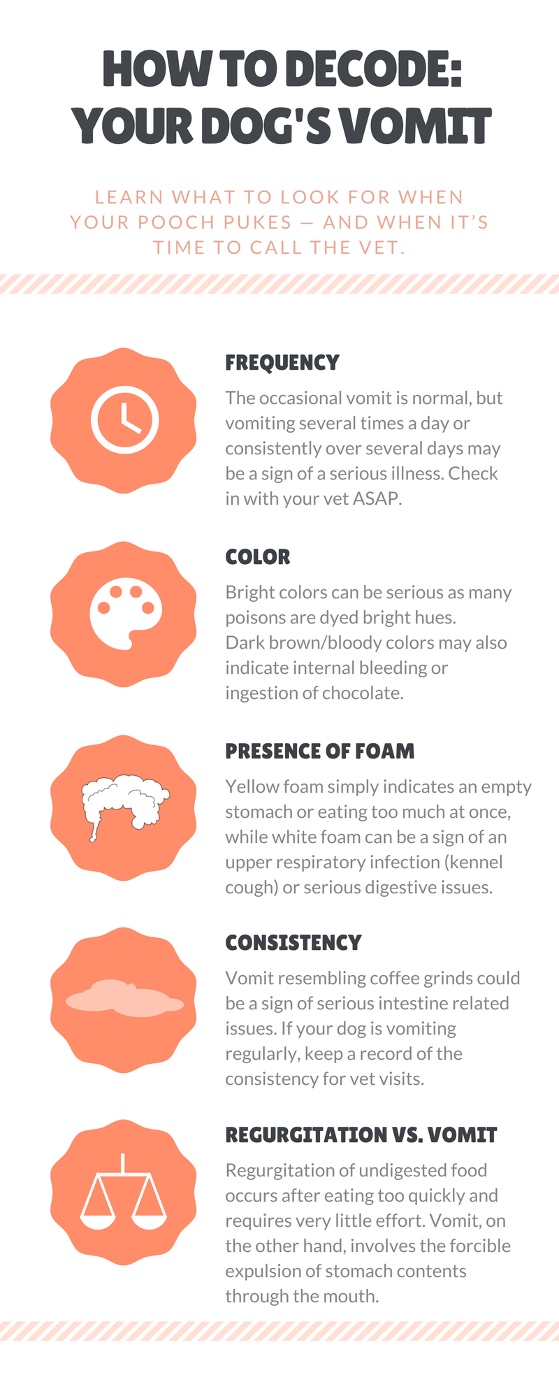 What Does the Color of Dog Vomiting Foam Mean?