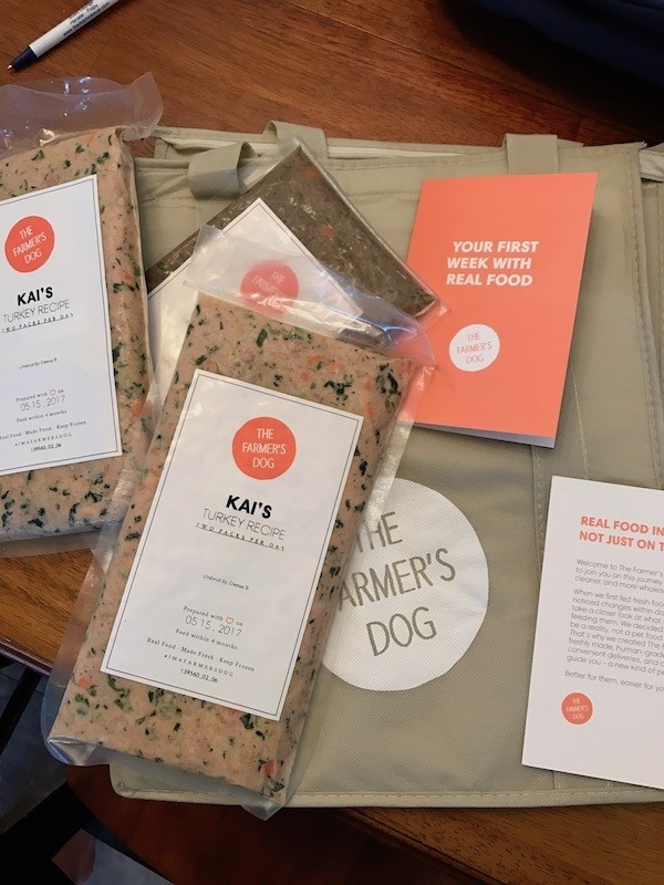 cured dog's allergies