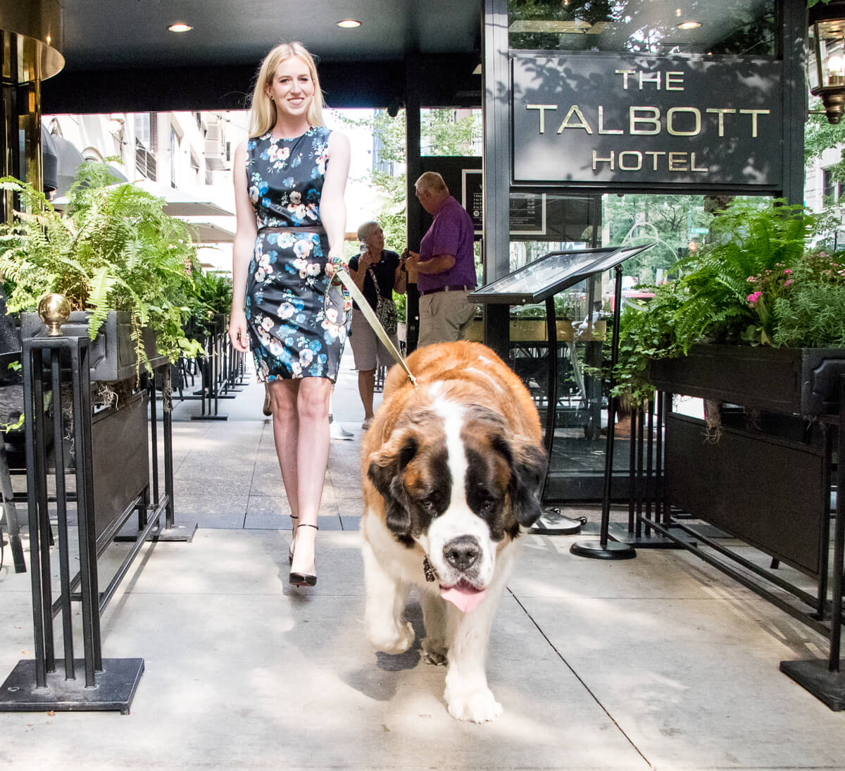 Top Dog Friendly Spots in Chicago