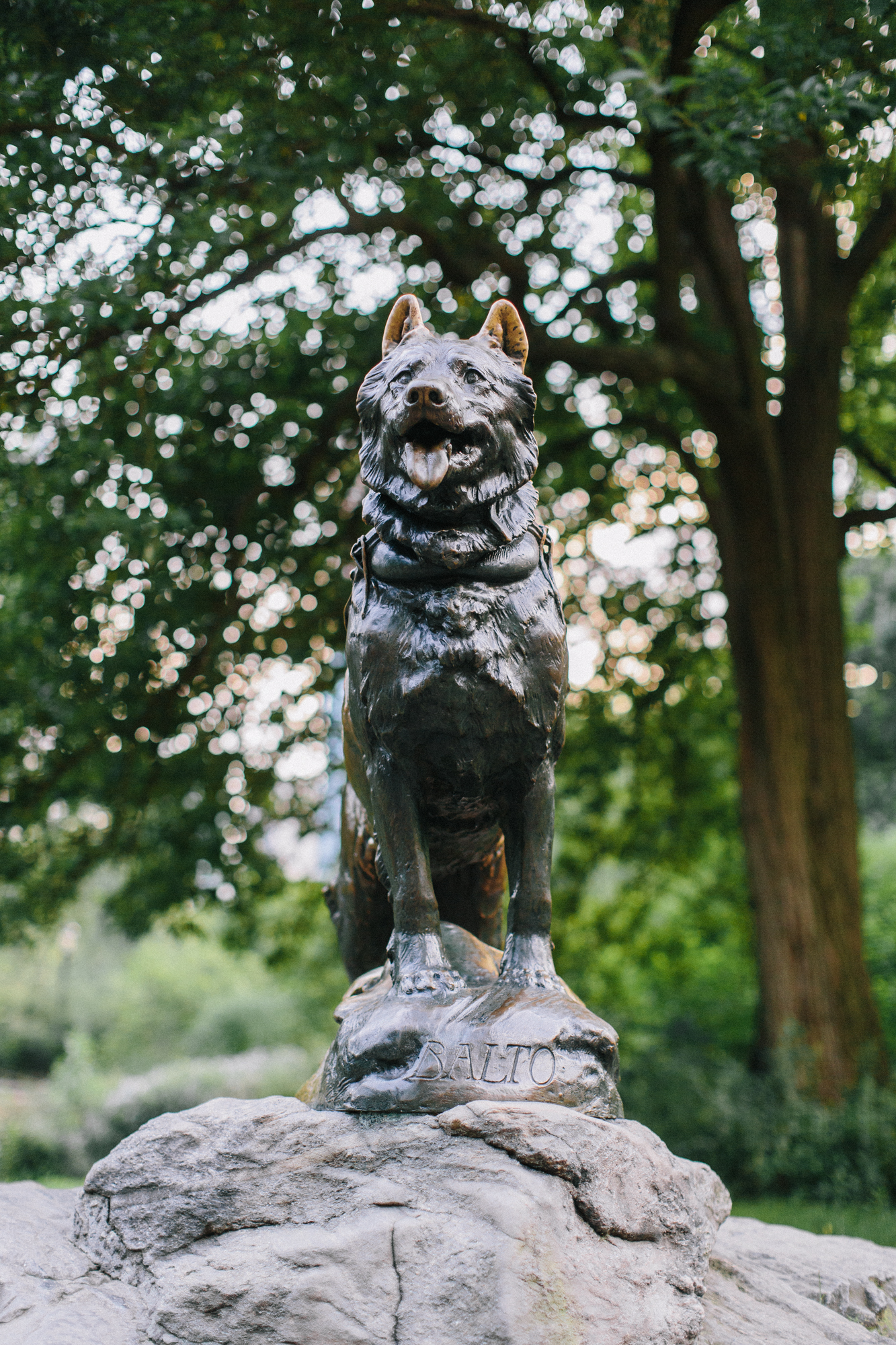 sled dog statue