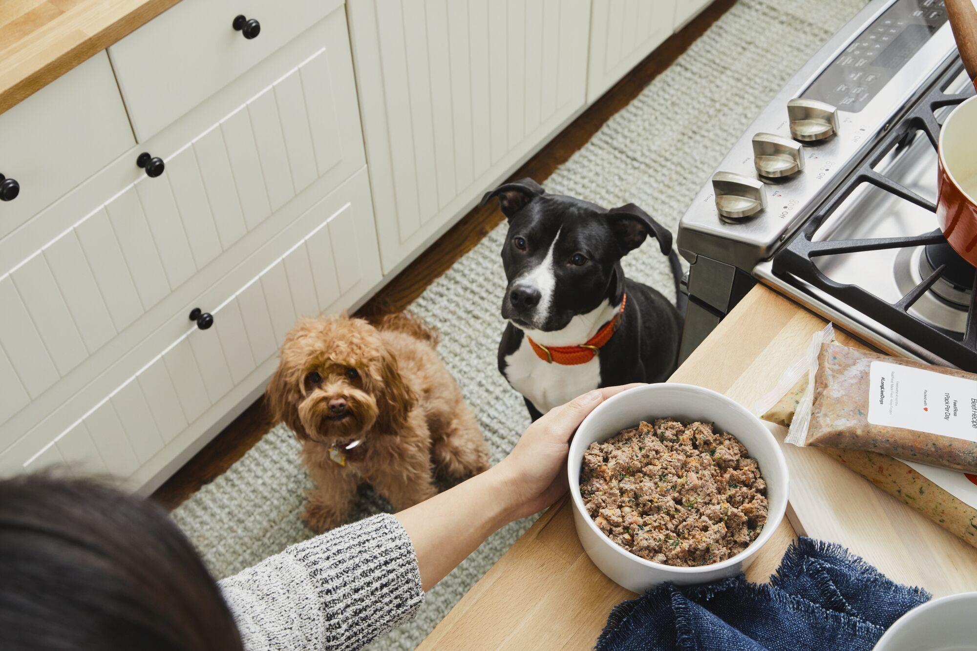 aafco standards for dog food