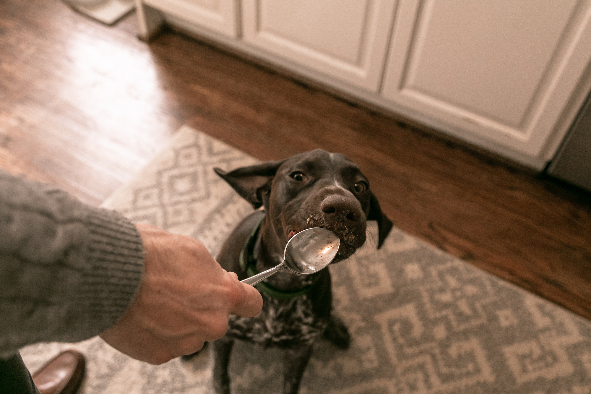 is it ok to give a dog peanut butter