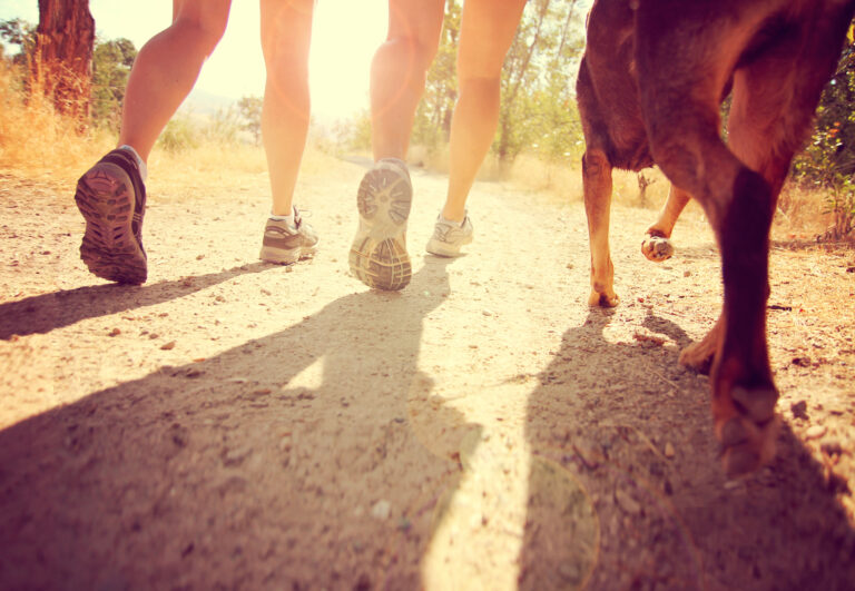 close-up of two humans running with a dog on sunny hiking trail | running with your dog