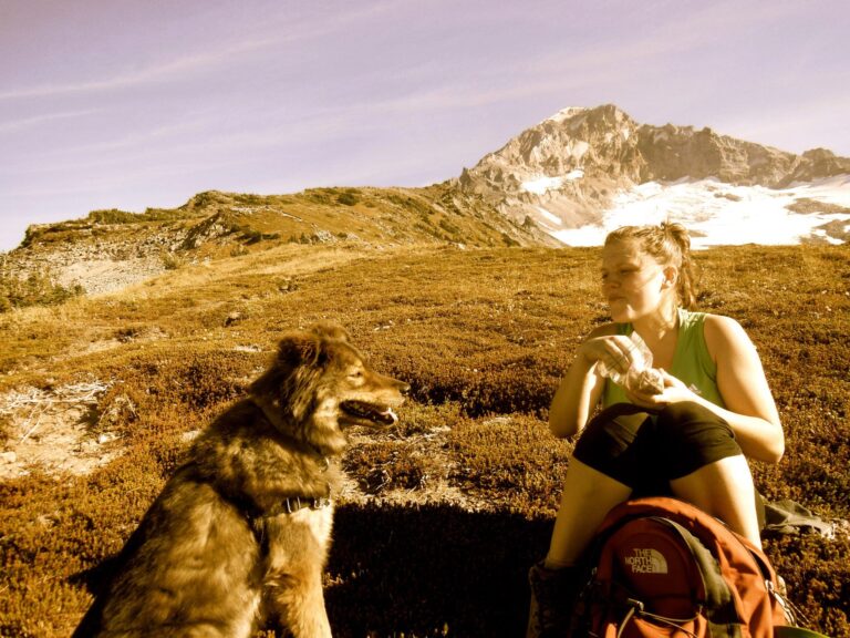 reuben, a chow mix dog, and owner sitting at the base of mt. hood in oregon