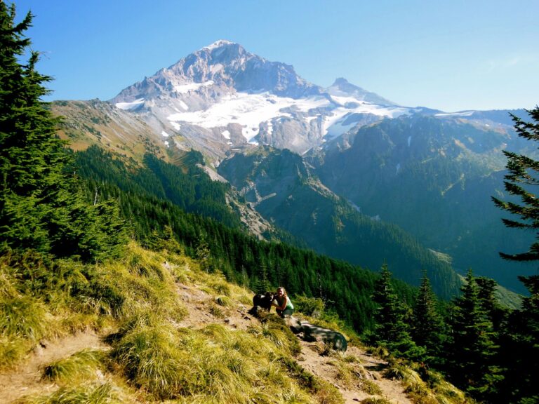 dog and person posing in front of mt. hood in oregon