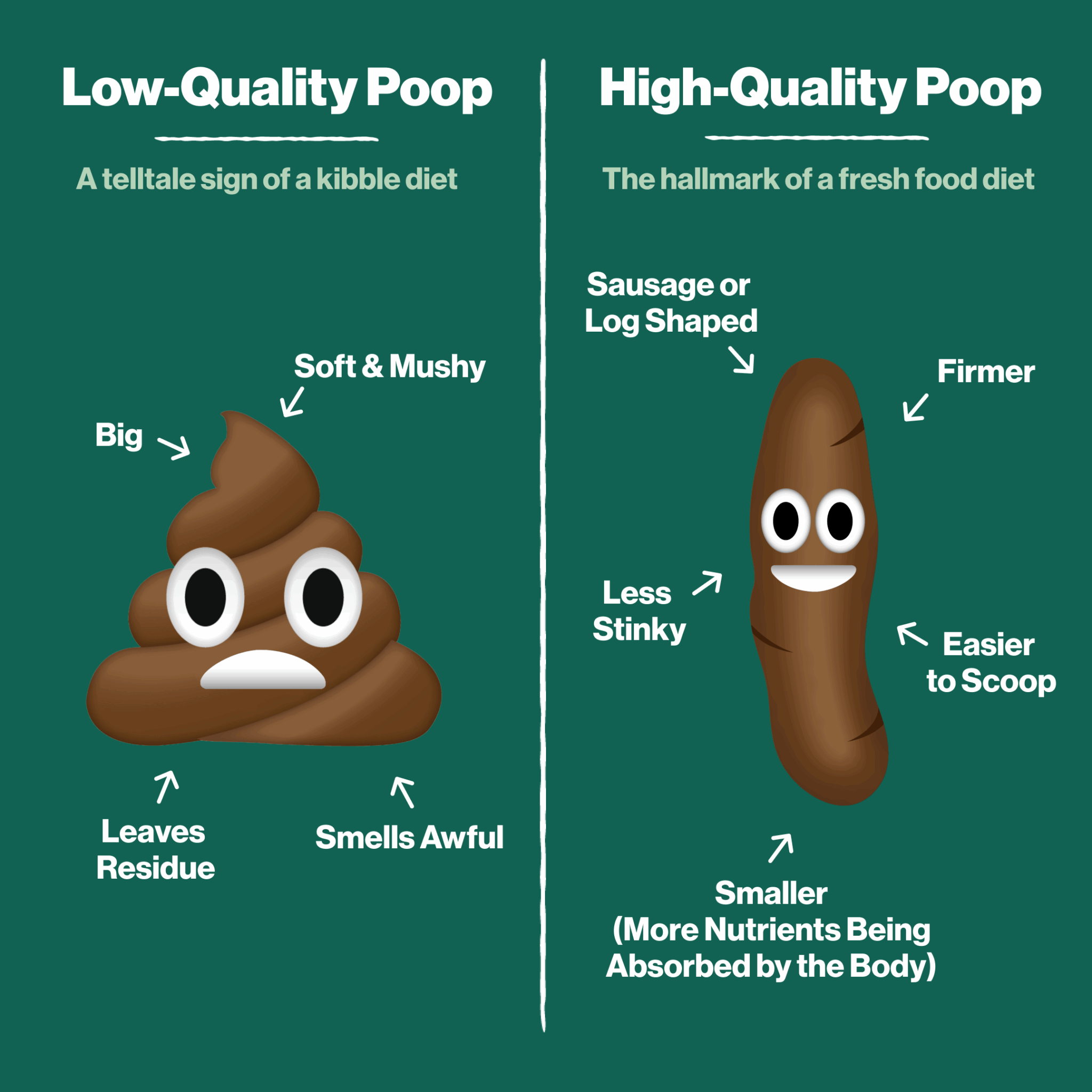 What is HQP (HighQuality Poop)? The Farmer's Dog