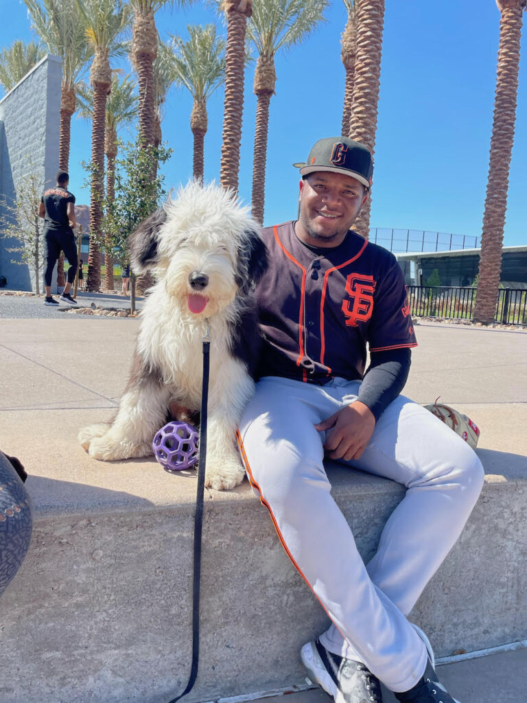 The Farm Team's Dog: Willie Provides Emotional Support for San Francisco  Giants Minor Leaguers - The Farmer's Dog