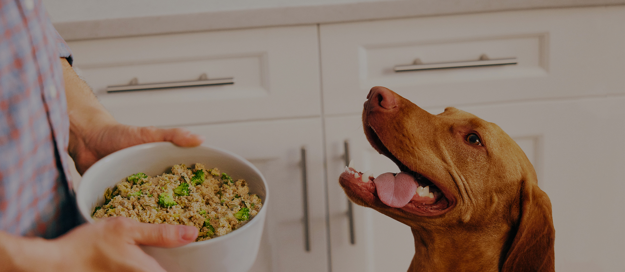 Why You Should Always Weigh Your Pet's Food