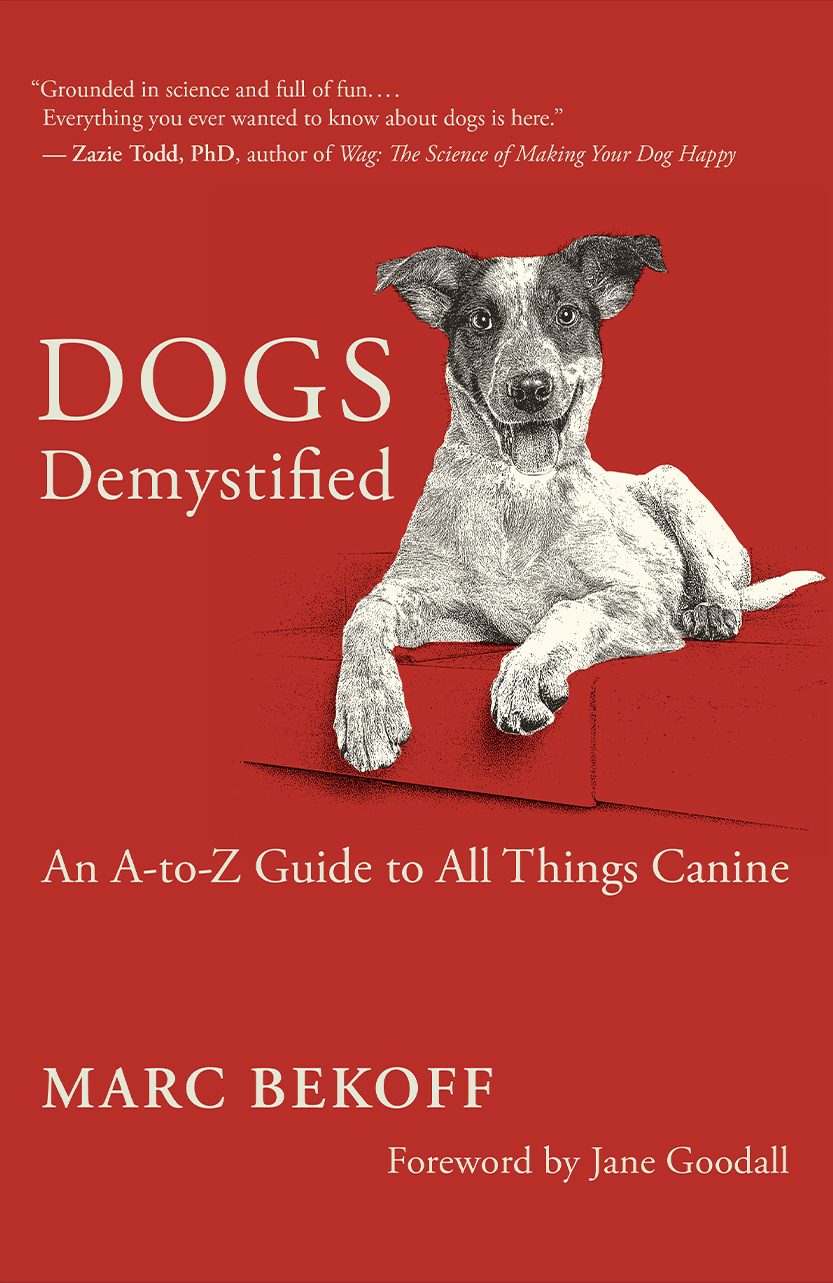 "Dogs Demystified" book cover