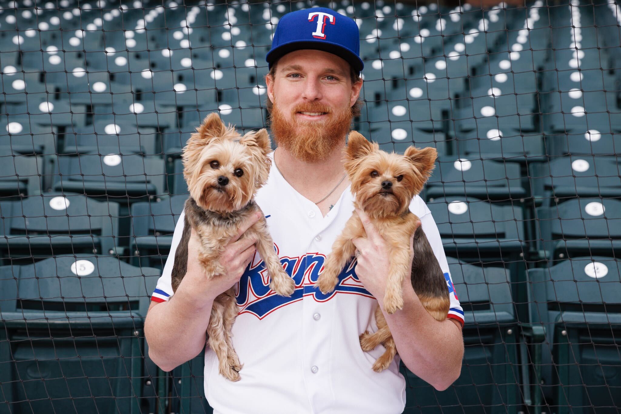The Pitcher's Dogs: The Texas Rangers' Jon Gray Loves Little Dogs - The  Farmer's Dog