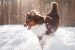 Winter Care Guide for Dogs