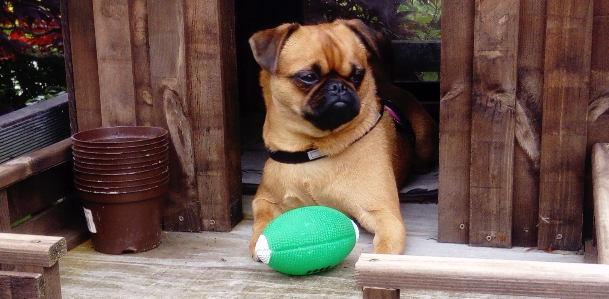 What to Do About Resource Guarding