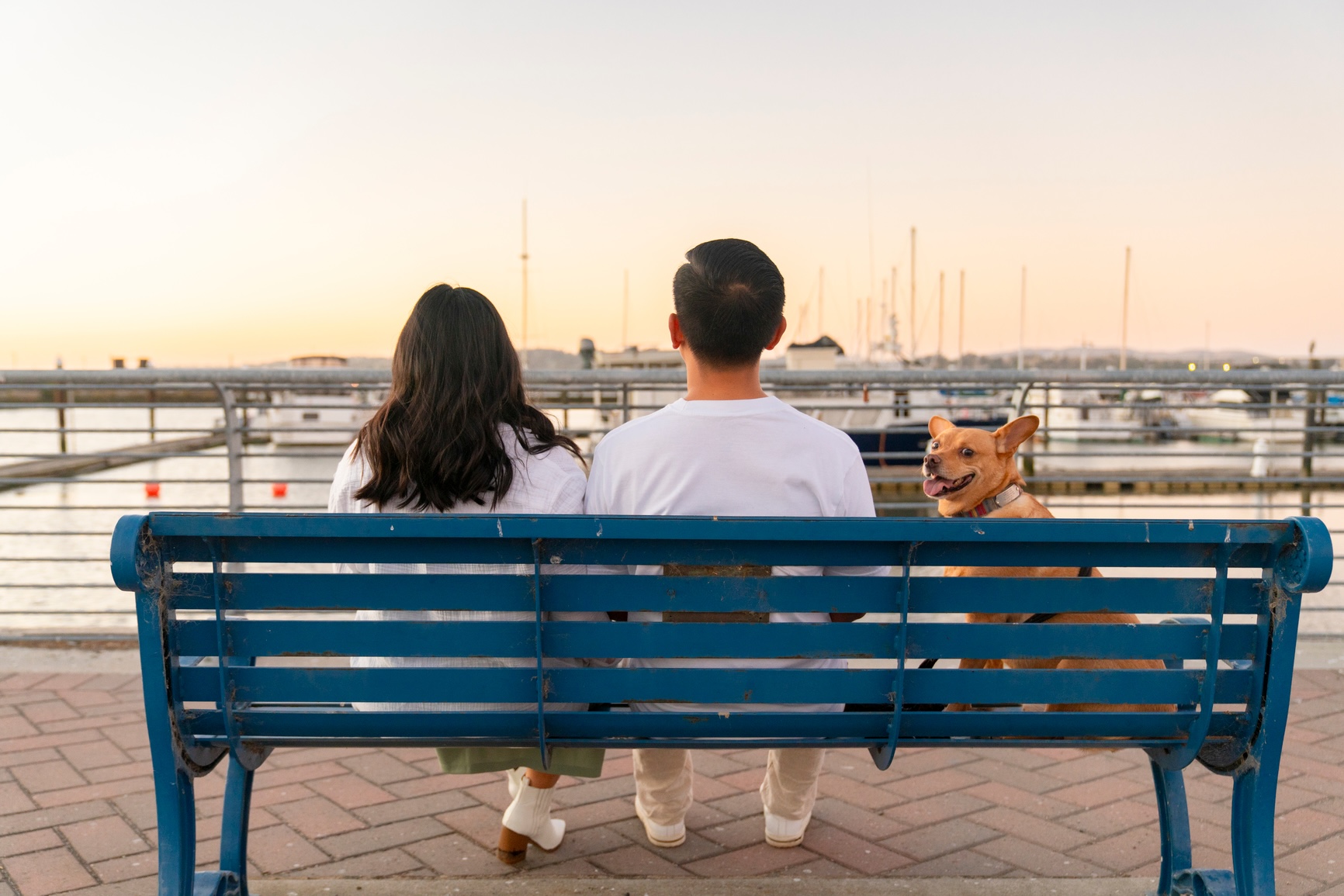 How Couples Can Divide Dog-Care Responsibilities