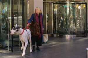 The Story Behind the Amazing Canine Performance in “The Friend”