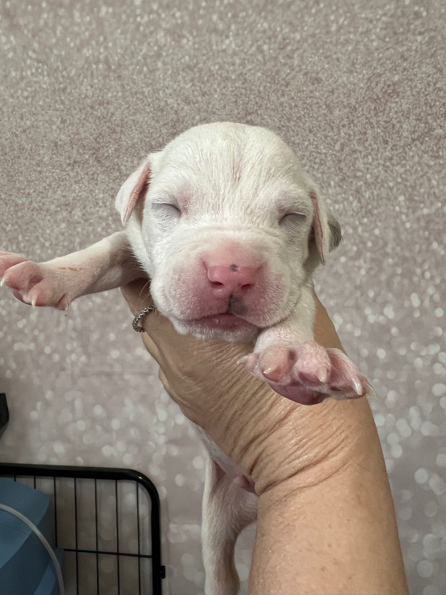 This Firefighter Rescued a Puppy From a Burning Home—and then Adopted ...