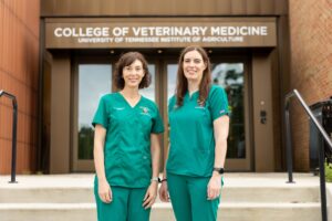 The Farmer’s Dog Is Sponsoring a Veterinary Nutrition Residency at the University of Tennessee. Here’s Why That Matters.
