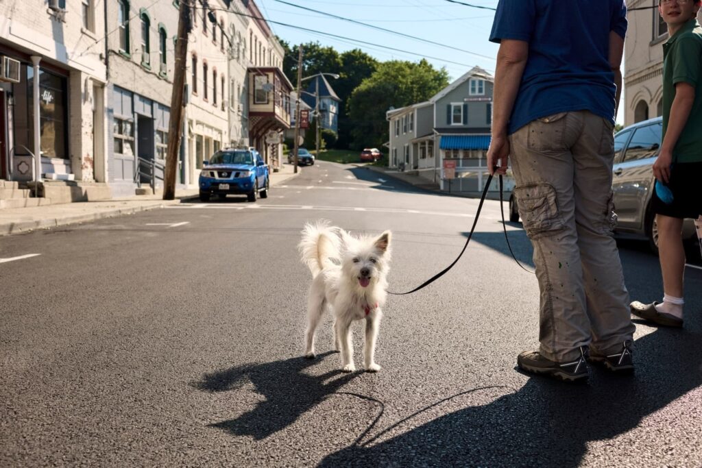 The Simplest Way to Tell if the Pavement Is Too Hot for Your Dog’s Paws
