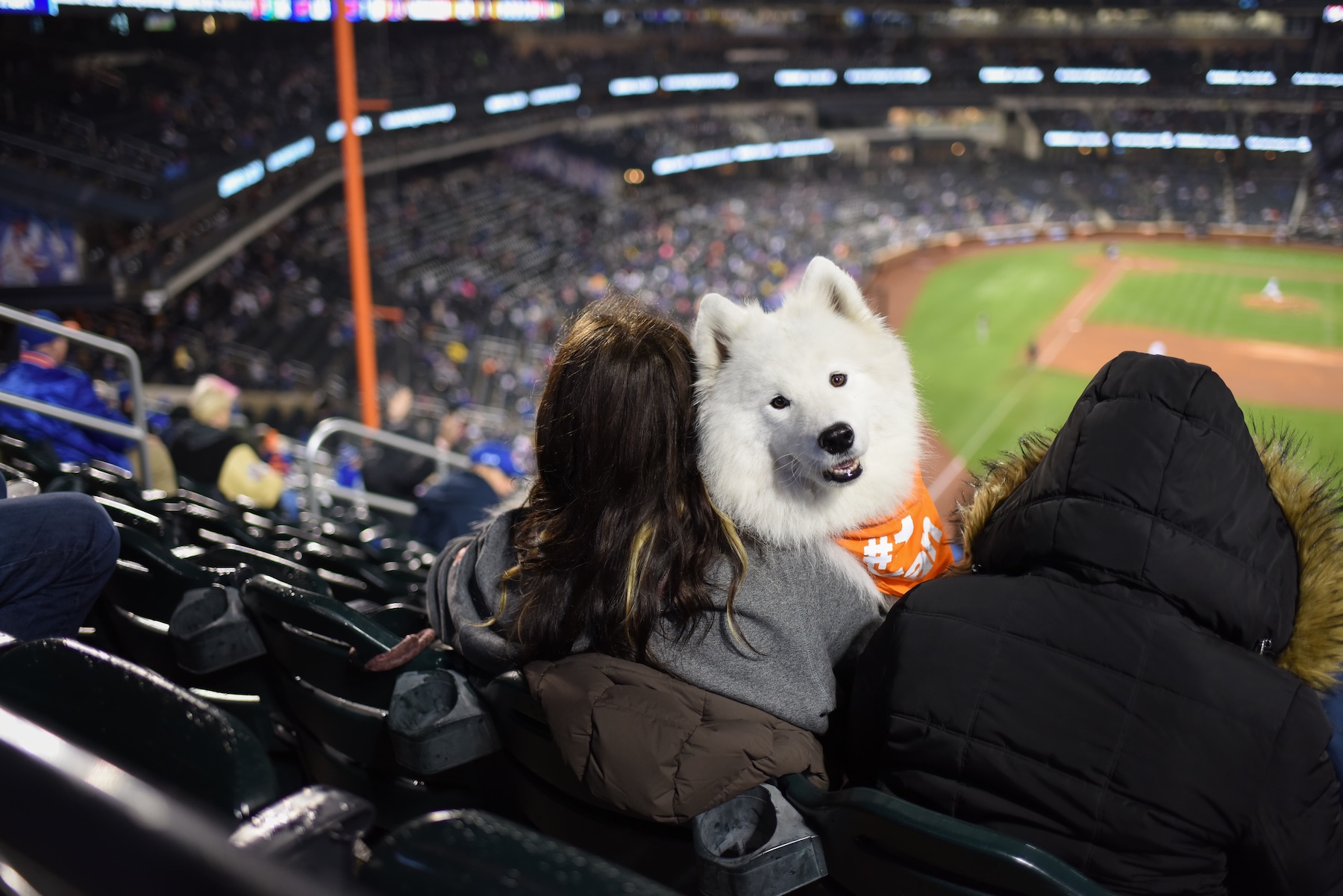 The Farmer’s Dog Capital One All-Star Village Giveaway (“Giveaway”) Official Rules