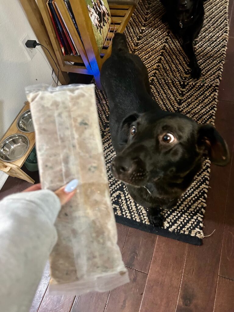Juno looking at a pack of The Farmer's Dog food.