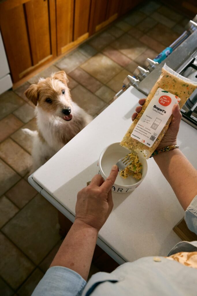 A dog looking up in anticipation as a person portions The Farmer's Dog food from a pack into a bowl.