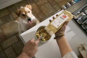 Studies Show That The Farmer’s Dog Is Highly Palatable