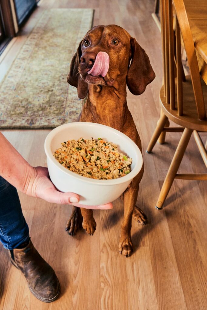 A dog licking their lips while looking at bowl of The Farmer's Dog fresh food
