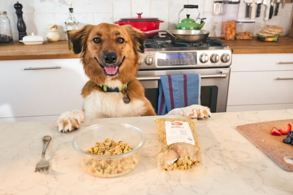 A dog with paws on the counter near a bowl and pack of The Farmer's Dog fresh food.