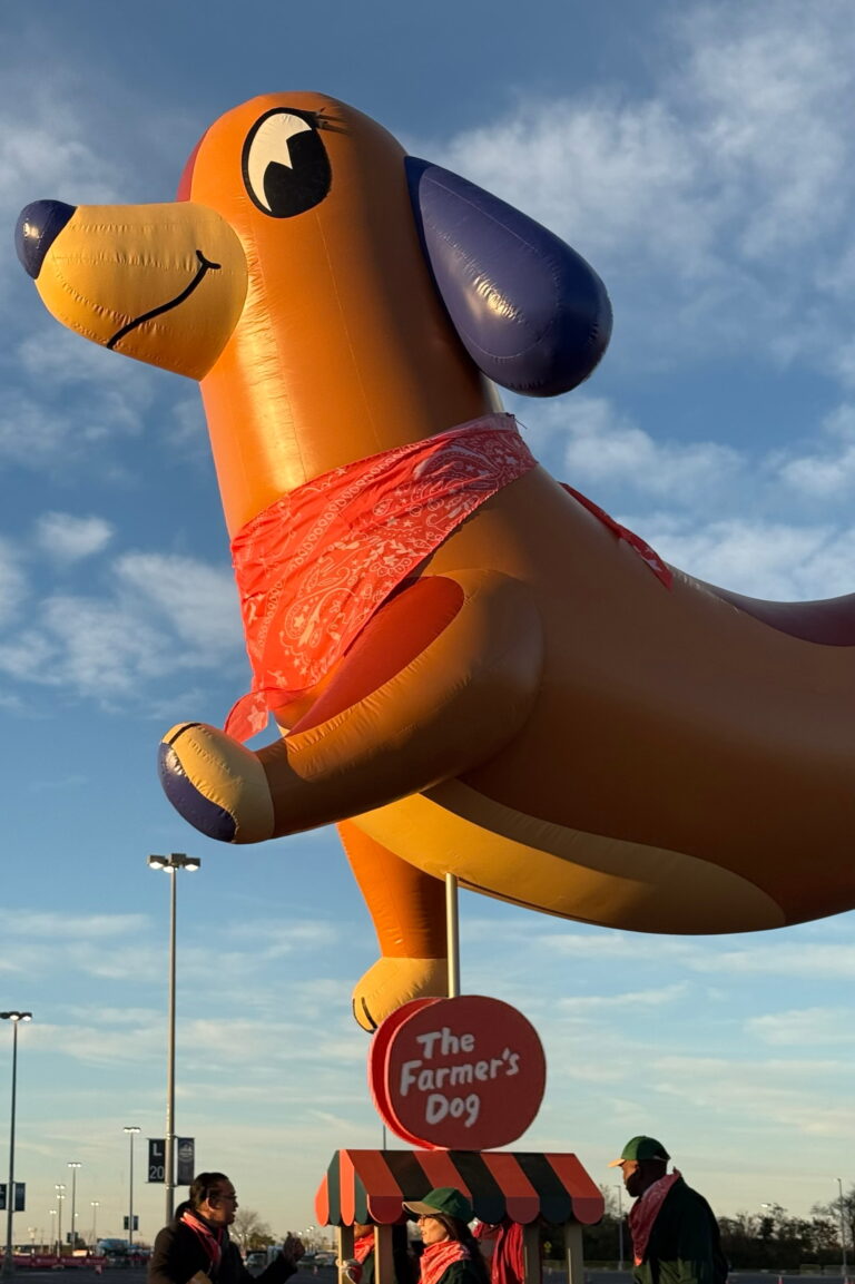 Freida Freida the Dachshund Returns to the Macy's Thanksgiving Day Parade ...