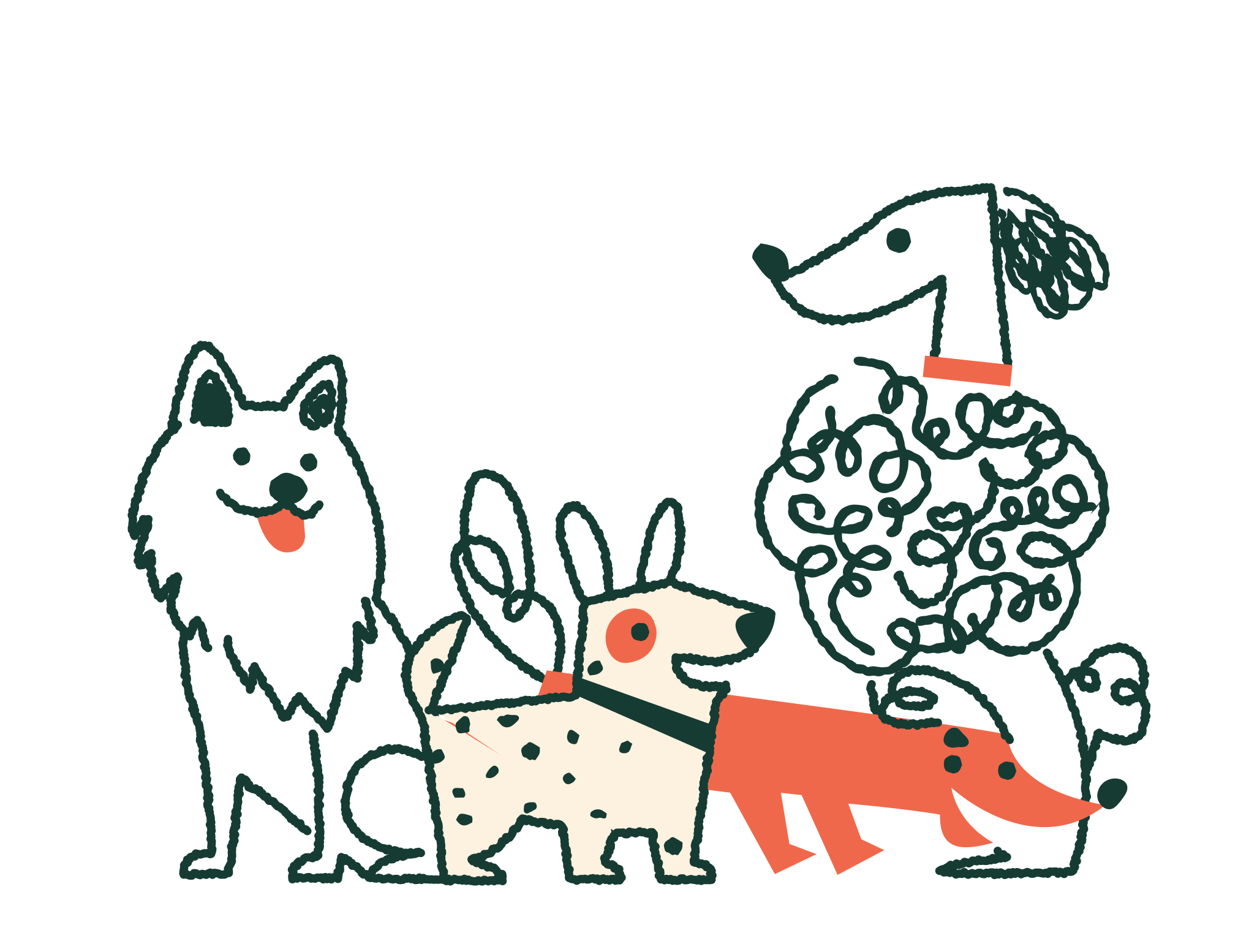 Our Top Dog Names of 2025