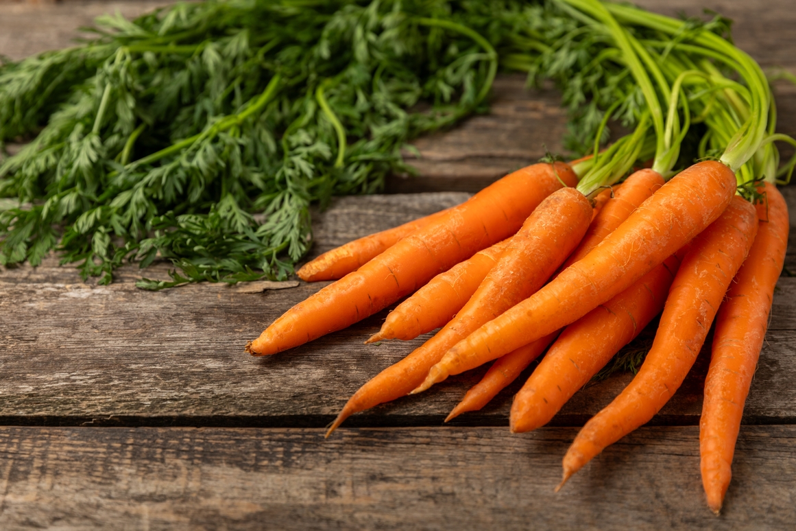 Can Dogs Eat Carrots?