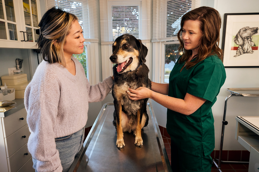 A brown dog sits on an exam table at a vet's office between one woman who is their owner and a veterinarian.