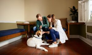 How to Keep Your Dog Calm and Happy at the Veterinarian