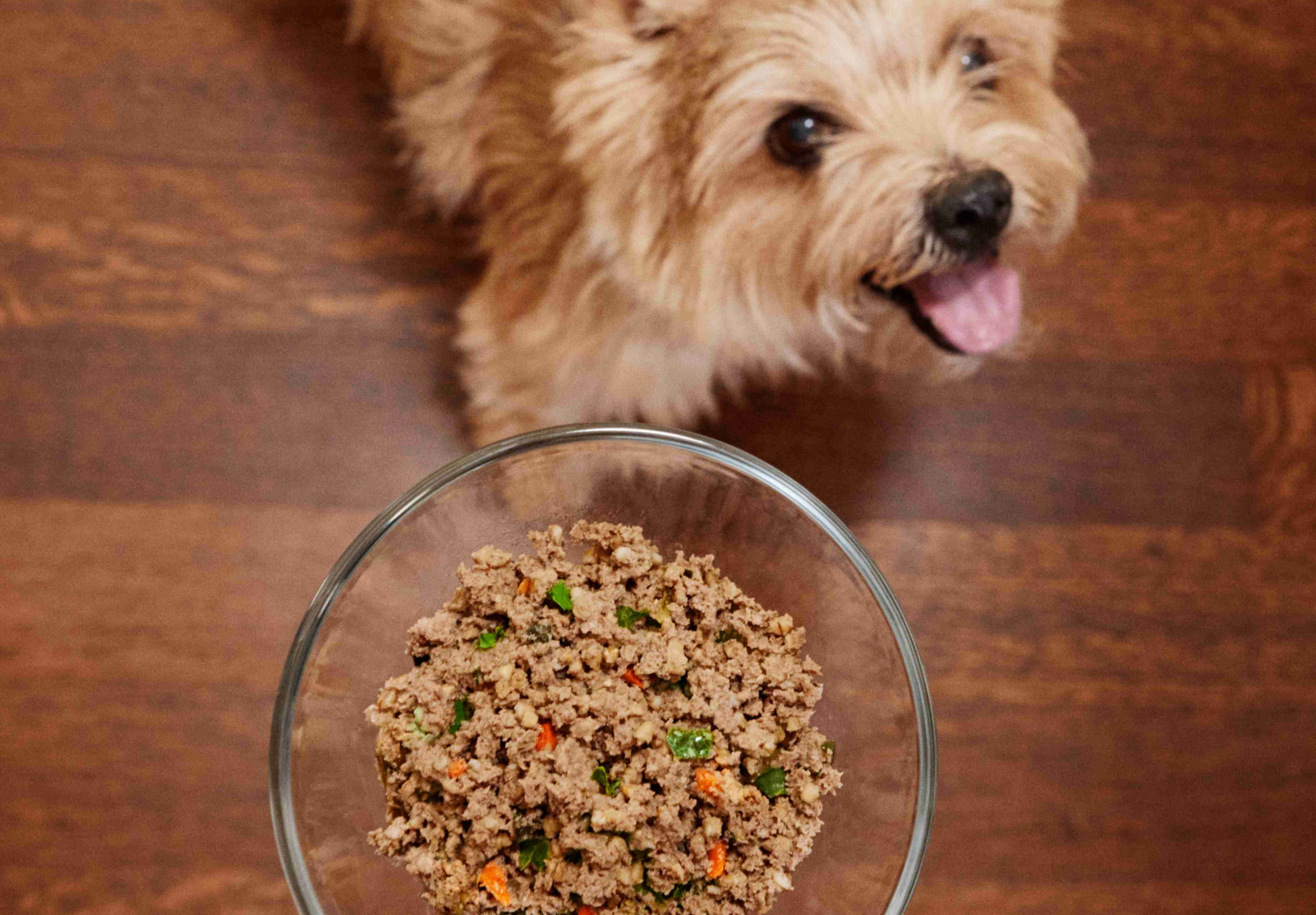 Does The Farmer’s Dog Have Grains?