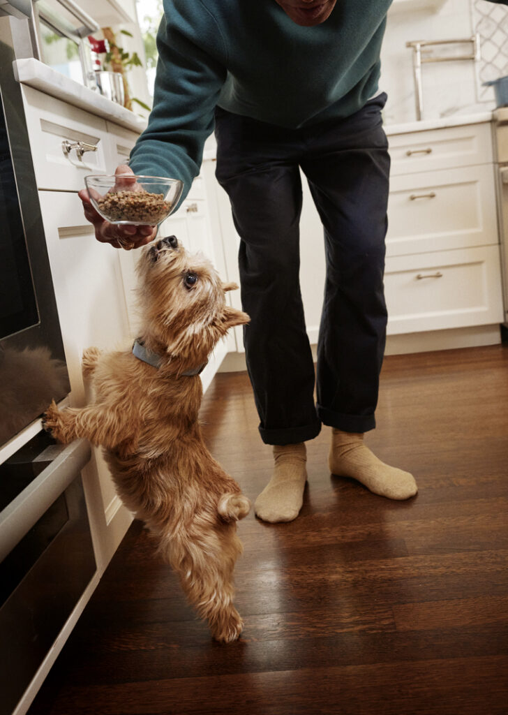 A dog stands on their back legs smelling a glass bowl of fresh food that a woman holds, standing in the kitchen.