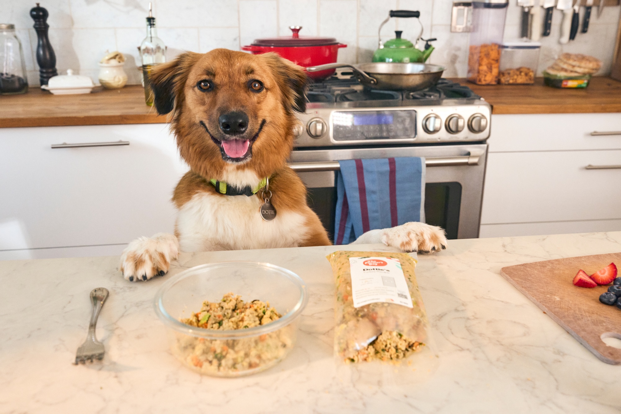 Starting in April, You Can Buy The Farmer’s Dog Food at Walmart.com