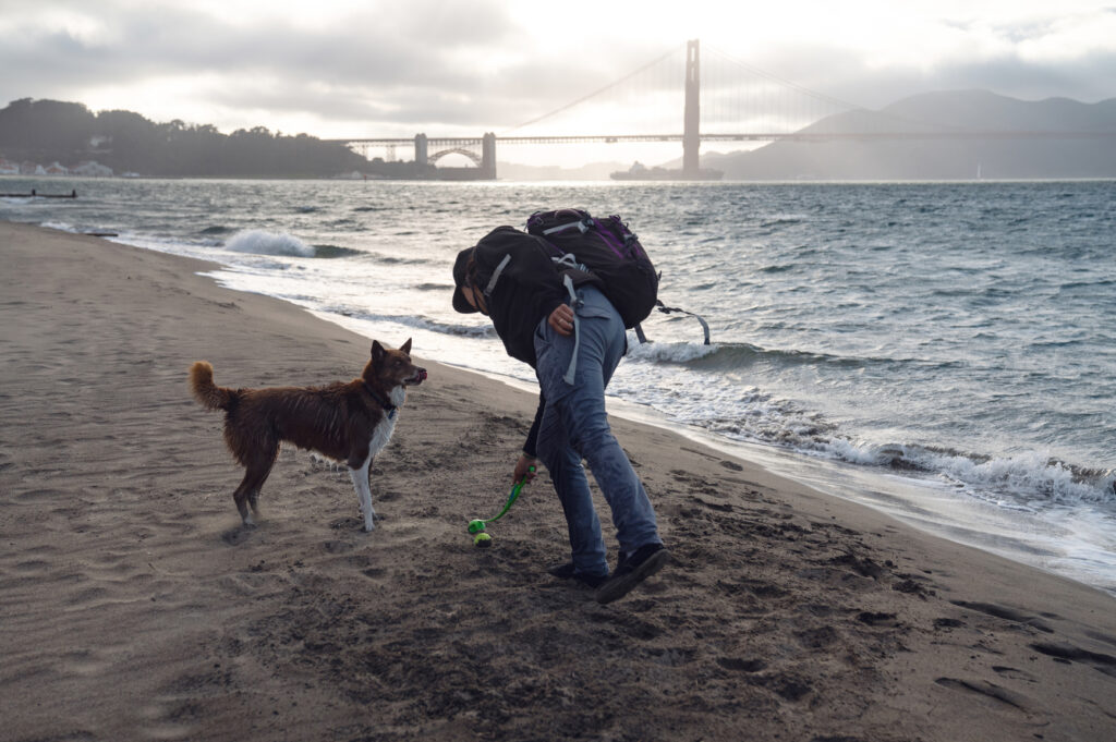 A Dog Person’s Guide to San Francisco