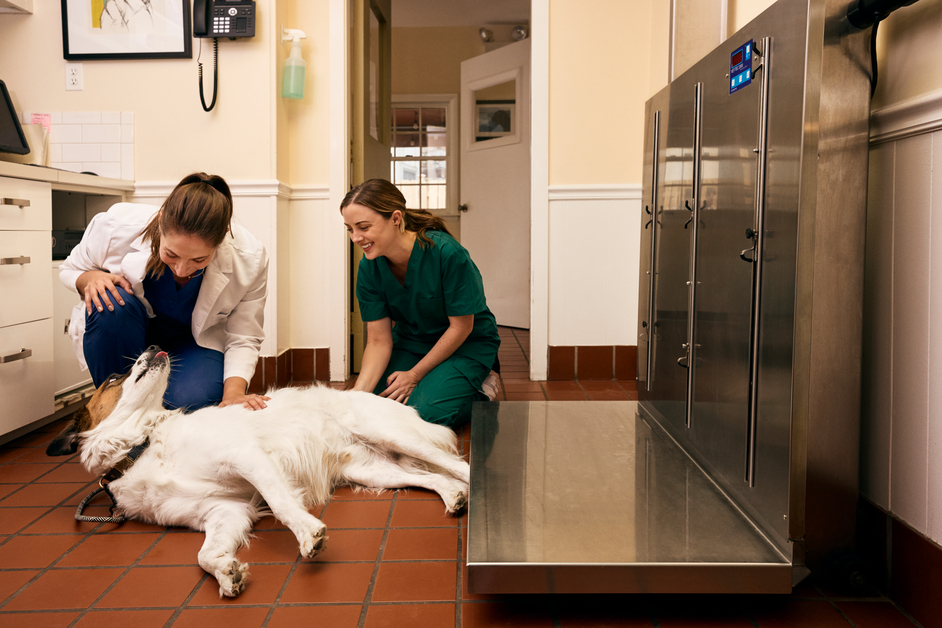 A large, white dog lies on their side in a vet exam room as two white women in scrubs kneel to examine them next to a scale.