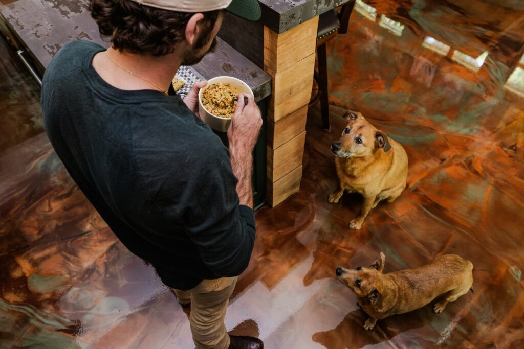 Ryan Blaney's dogs looking up at him holding a bowl of The Farmer's Dog Food.