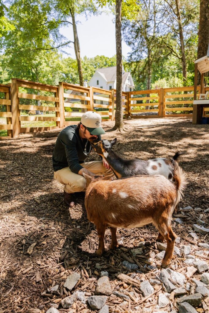 Ryan Blaney with farm animals.