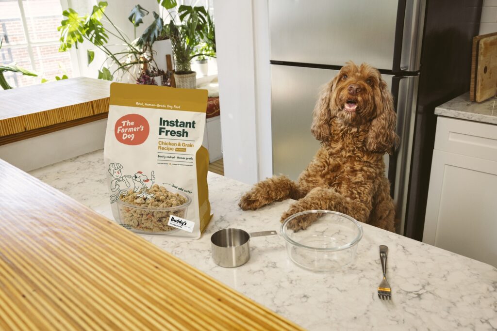 A large brown dog stands with their front paws on a kitchen counter next to a bag of The Farmer's Dog Instant Fresh.