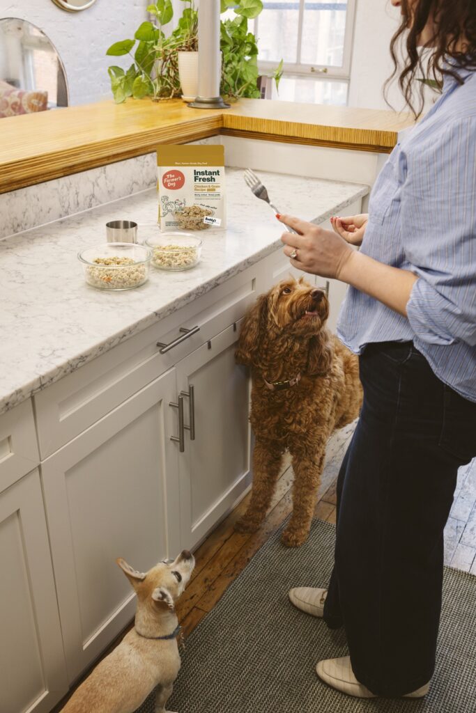 A white woman wearing a blue shirt holds a fork in a kitchen in front of a large brown dog and a Chihuahua, preparing Instant Fresh in two glass bowls.