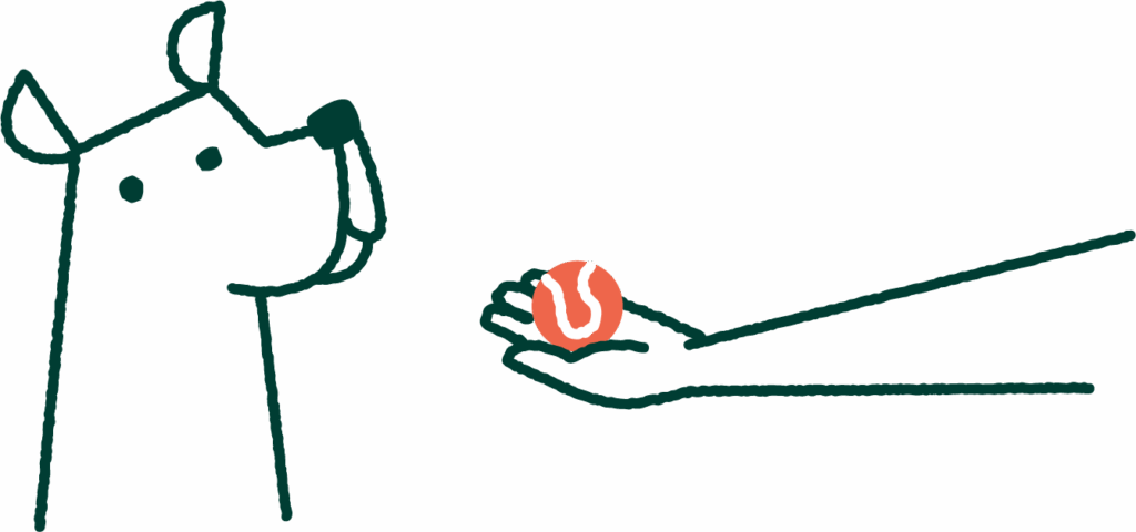 An illustration of a happy dog looking at a ball in a person's hand.
