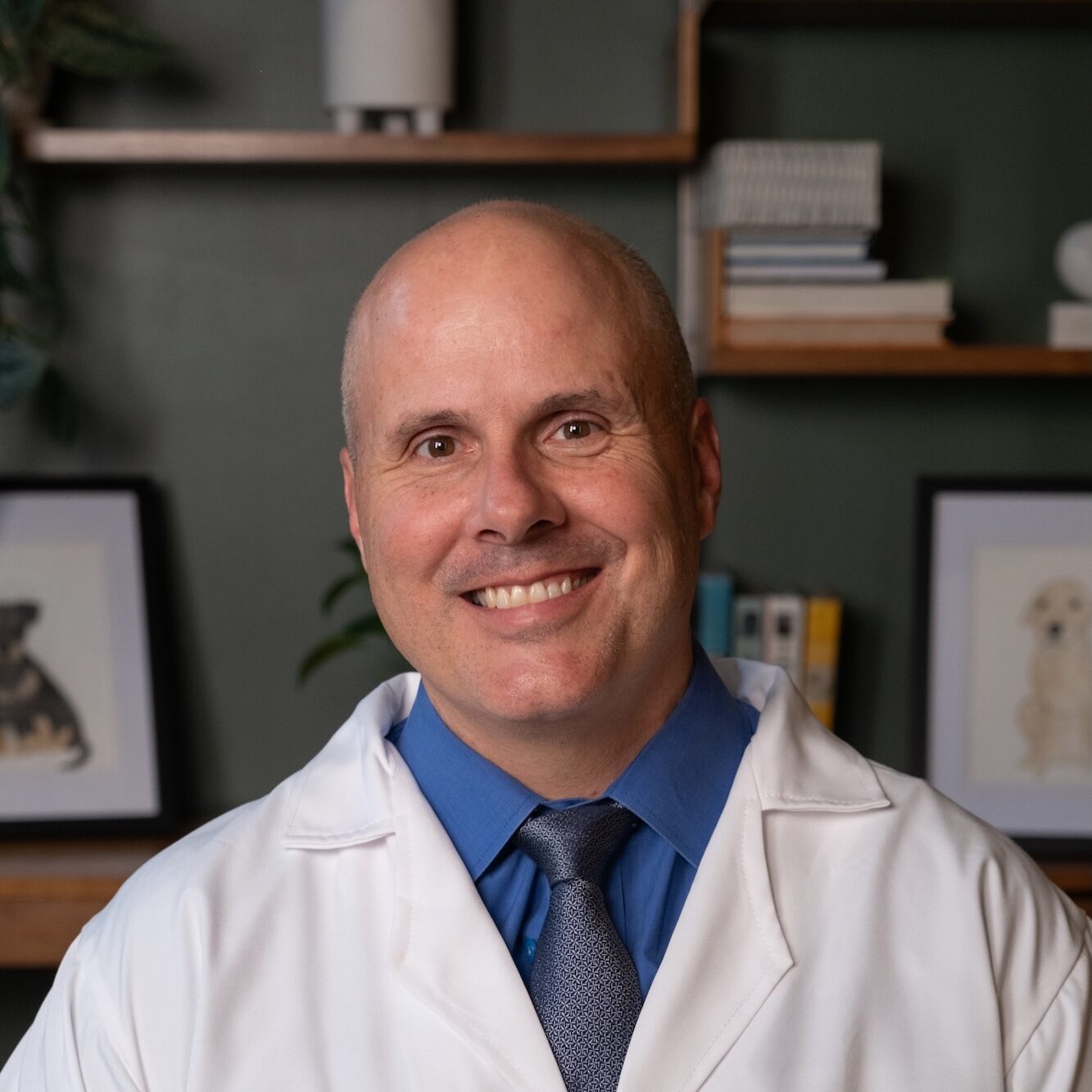 Joseph Wakshlag, DVM, PhD, DACVIM (Nutrition)