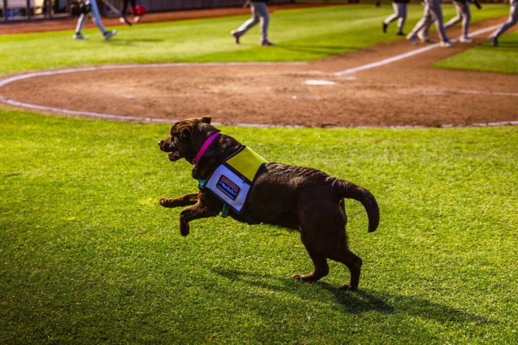 Mokoro running on the field near home plate.