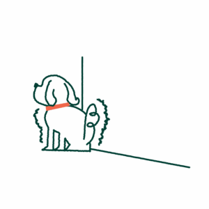 A anxious dog shaking and looking at a door.