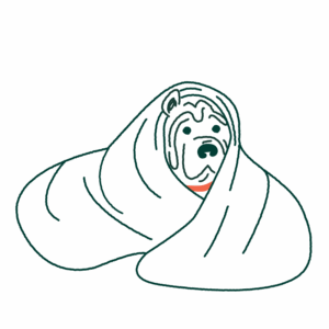 A drawing of an anxious dog hiding under a blanket.