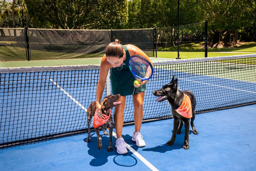 A woman in a green tennis dress stands on a blue tennis court on a sunny day with a brown German shorthair pointer and black German shepherd who look at her, both wearing orange bandanas.
