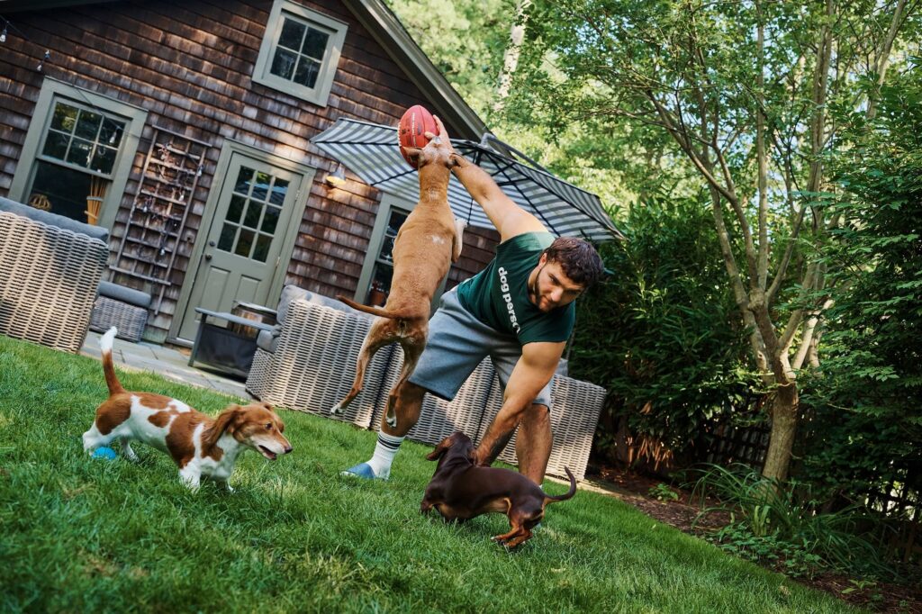 Cam Skattebo and his dogs playing football in a backyard.