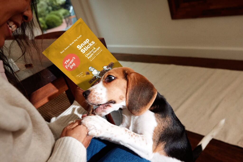 A dog with The Farmer's Dog Snap Sticks.